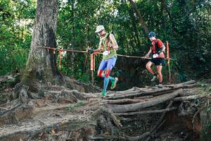 BIB: 
                            <button type="button" onclick="openModal(27752527)" class="btn btn-primary btn-sm float-right btn-popup" data-toggle="modal" data-target=".modal-high-quality">
                        <i class="fas fa-shopping-cart"></i> Add to Cart
                    </button>
                                            <button type="button" onclick="isThisMe(27752527, true)" class="btn btn-success btn-sm float-right btn-popup btn-isme hidden" data-toggle="tooltip" data-placement="bottom" title="นี่คือรูปของคุณใช่ไหม คลิกที่นี่เพื่อเอาเข้าอัลบั้ม">
                        <i class="fas fa-plus"></i> Add to album
                    </button>
                    <button type="button" onclick="isThisMe(27752527, false)" class="btn btn-warning btn-sm float-right btn-popup btn-isnotme hidden">
                        <i class="fas fa-ban"></i> Remove from album
                    </button>